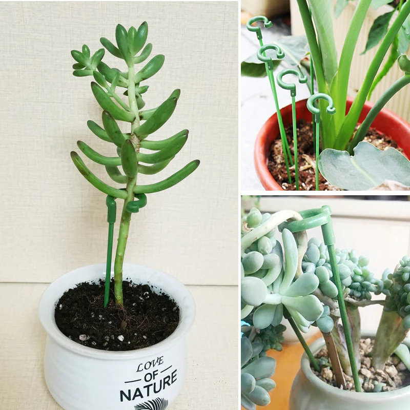 2/5/10pcs Plastic Plant Holder - Image 5