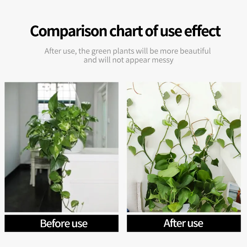 40PCS Plant Climbing Hook - Image 3