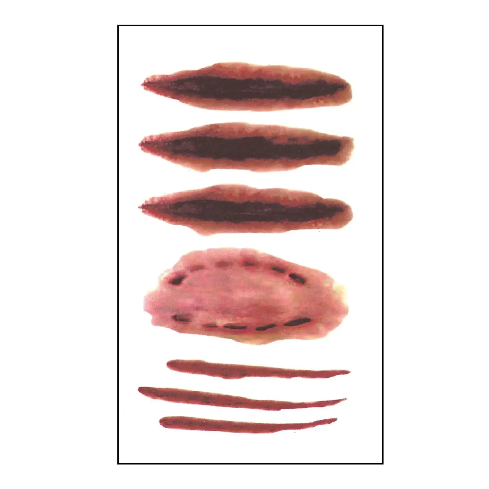 5/10pcs Halloween Tattoo Sticker - Image 11
