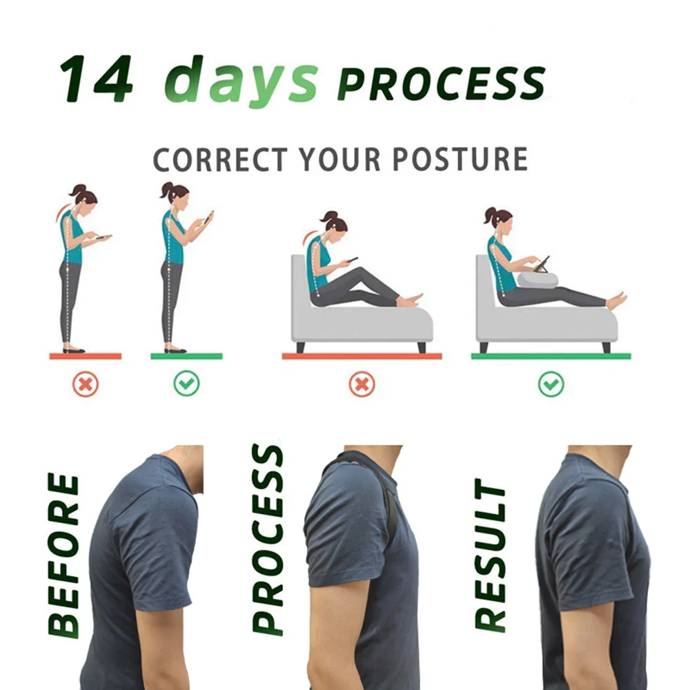 Back Belt Support - Image 4