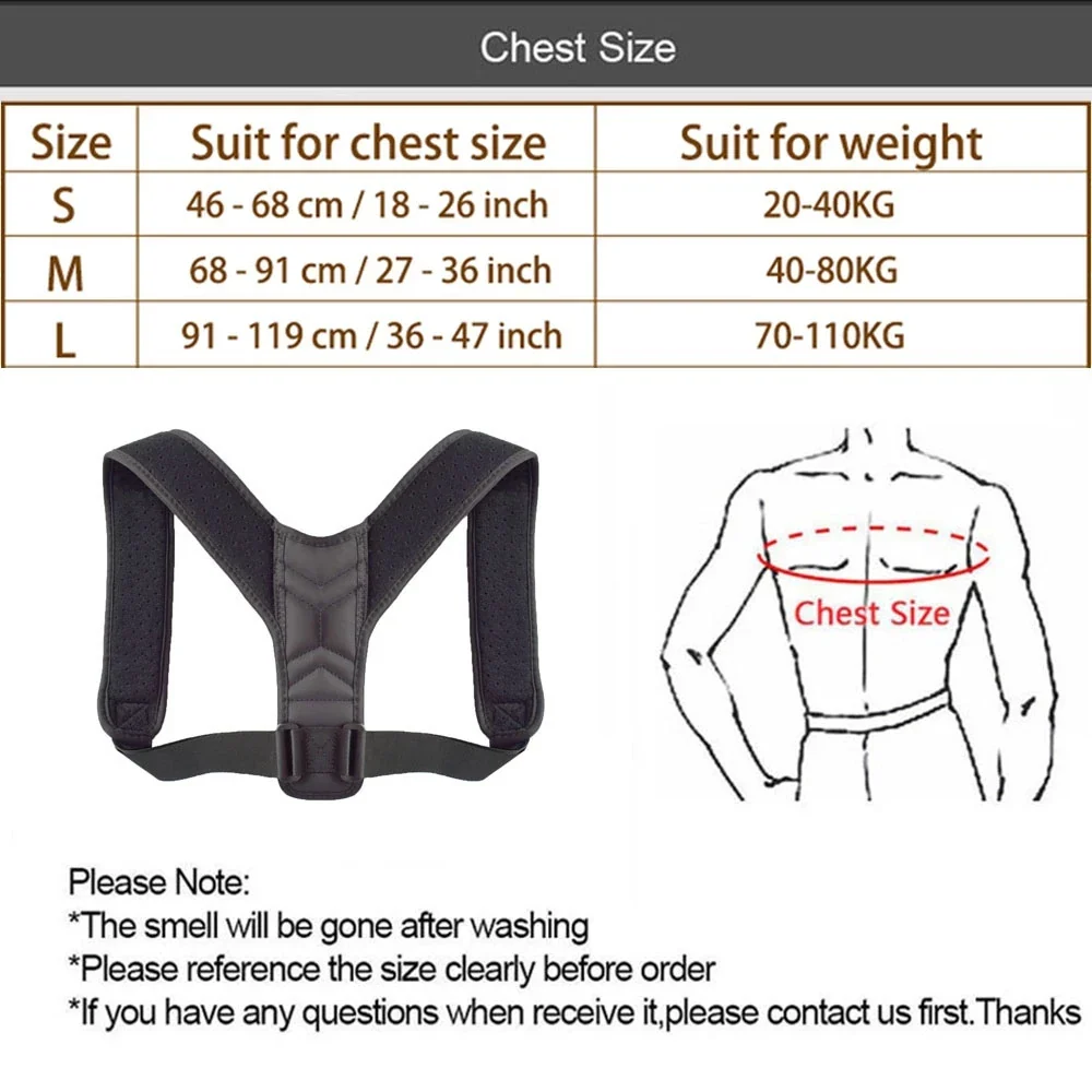 Back Belt Support - Image 6