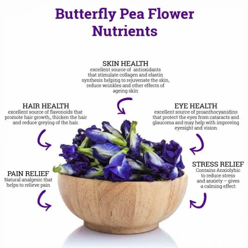 Blue Butterfly Elixir: Pure Thai Clitoria Ternatea Tea - Image 4