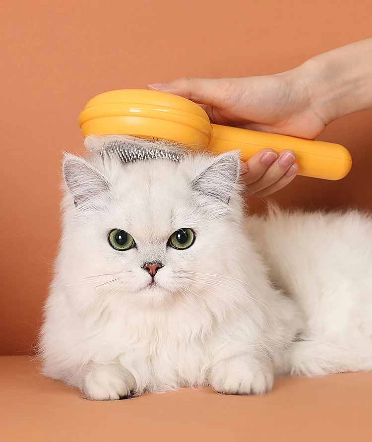 Cute Cartoon Shaped Pet Comb Brush - Image 22