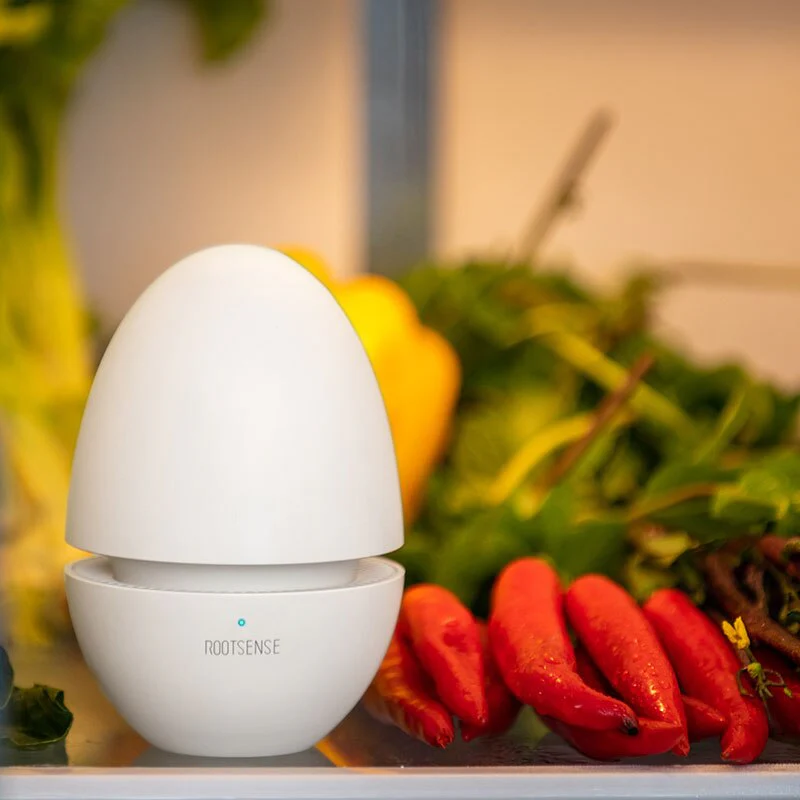 Egg Fridge Deodorizer - Image 5