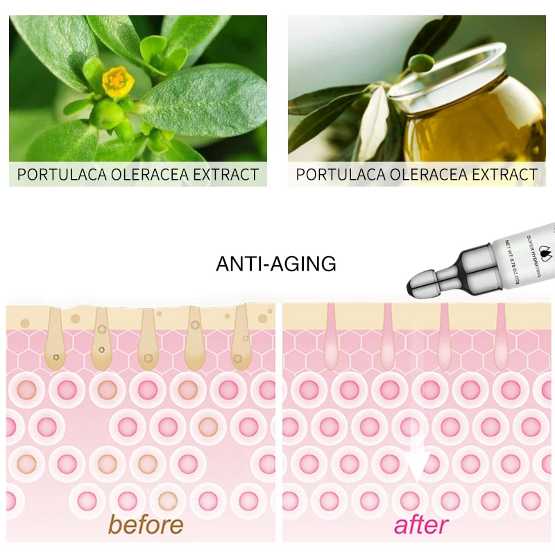 Eye Bags Wrinkle Removal Eye Cream - Image 3