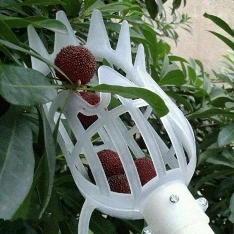 Fruit Picker Basket - Image 10