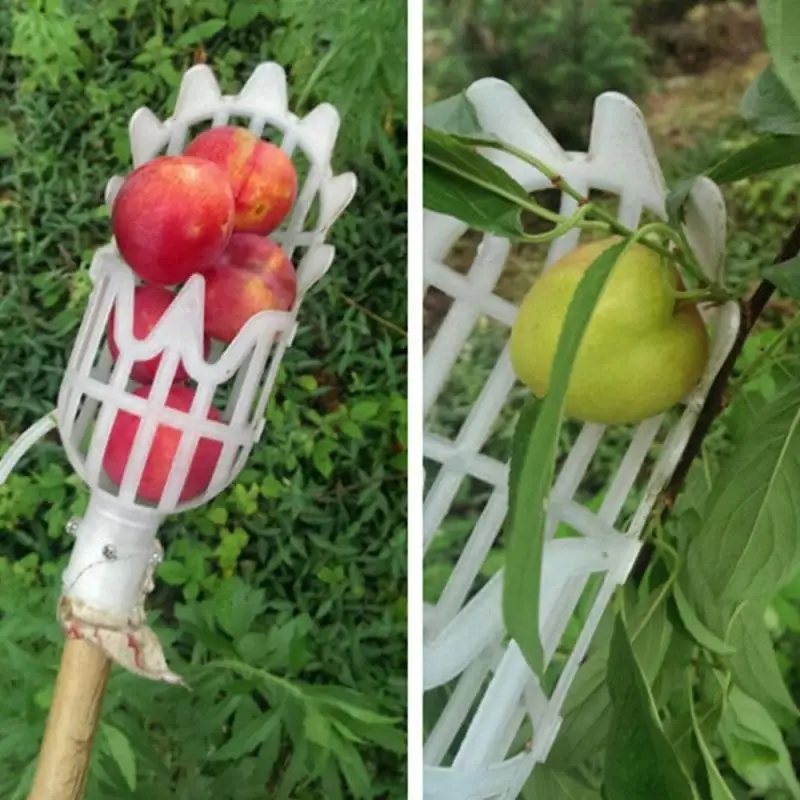 Fruit Picker Basket - Image 11
