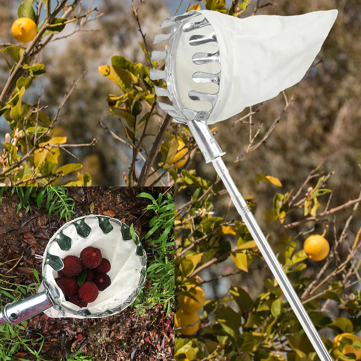 Fruit Picker Tool - Image 12