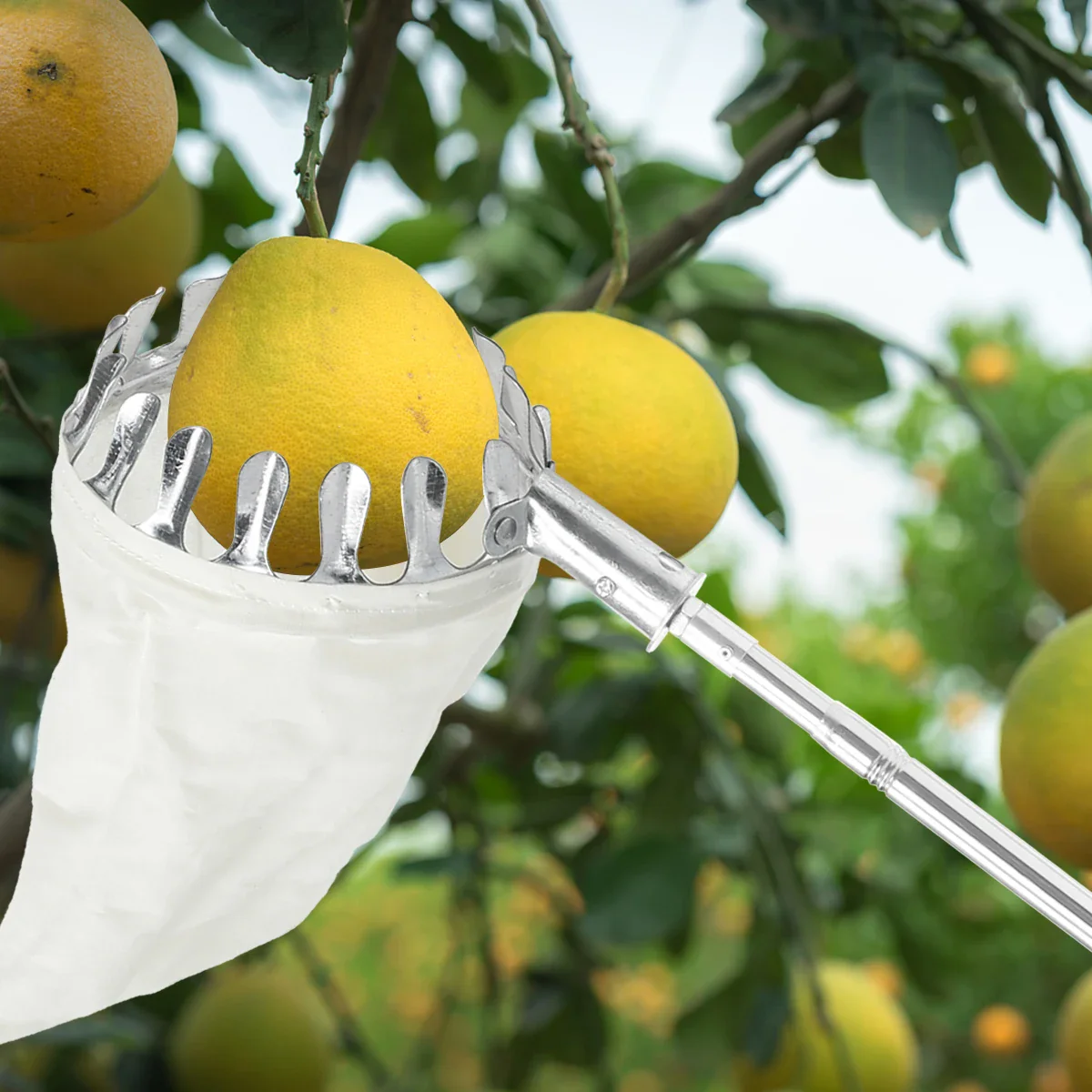 Fruit Picker Tool - Image 14