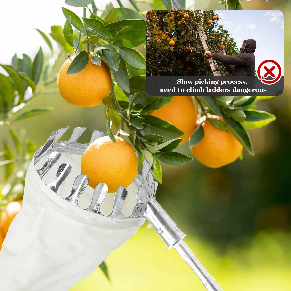 Fruit Picker Tool - Image 8