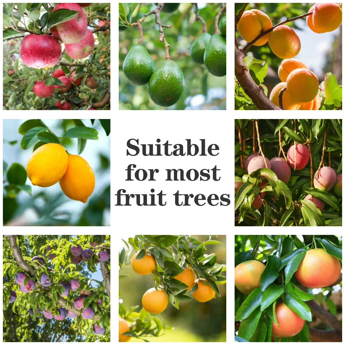 Fruit Picker Tool - Image 9