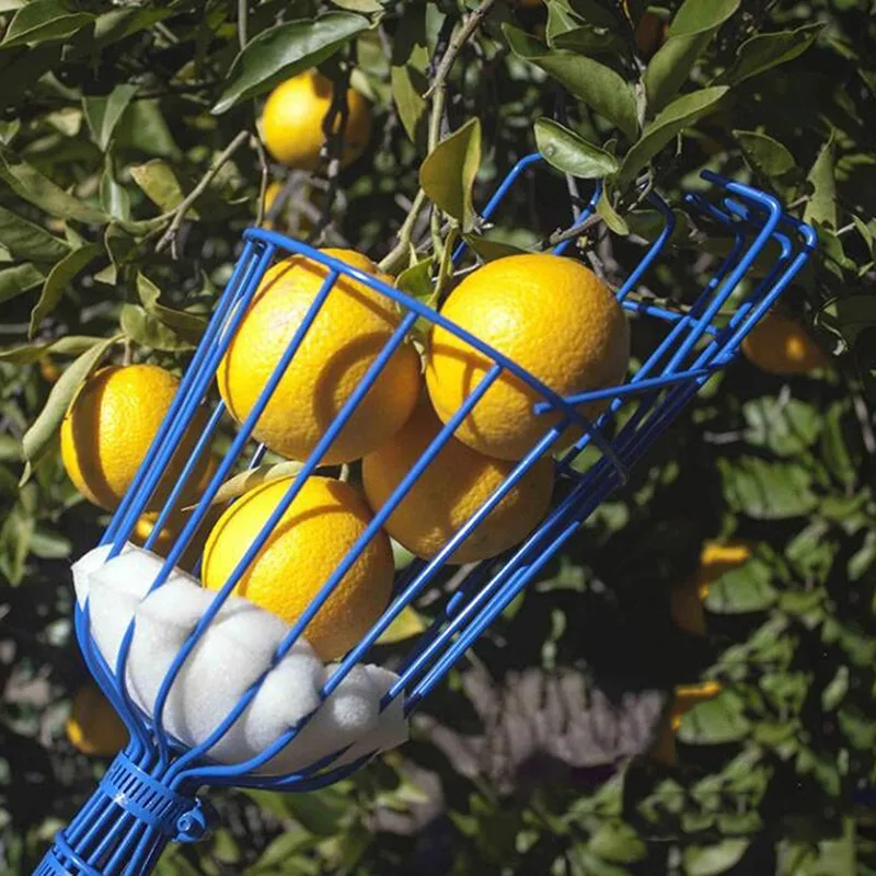Fruit Picking Basket - Image 16