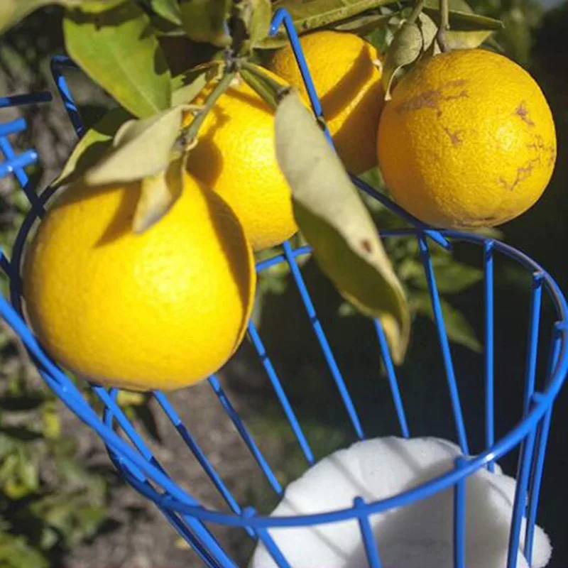 Fruit Picking Basket - Image 19