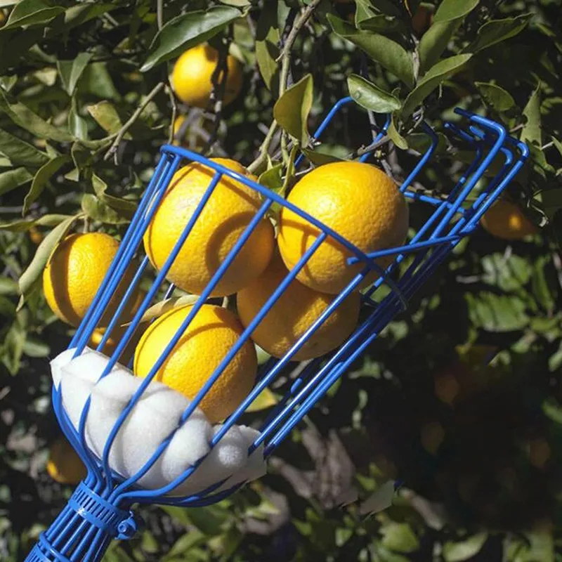 Fruit Picking Basket - Image 20