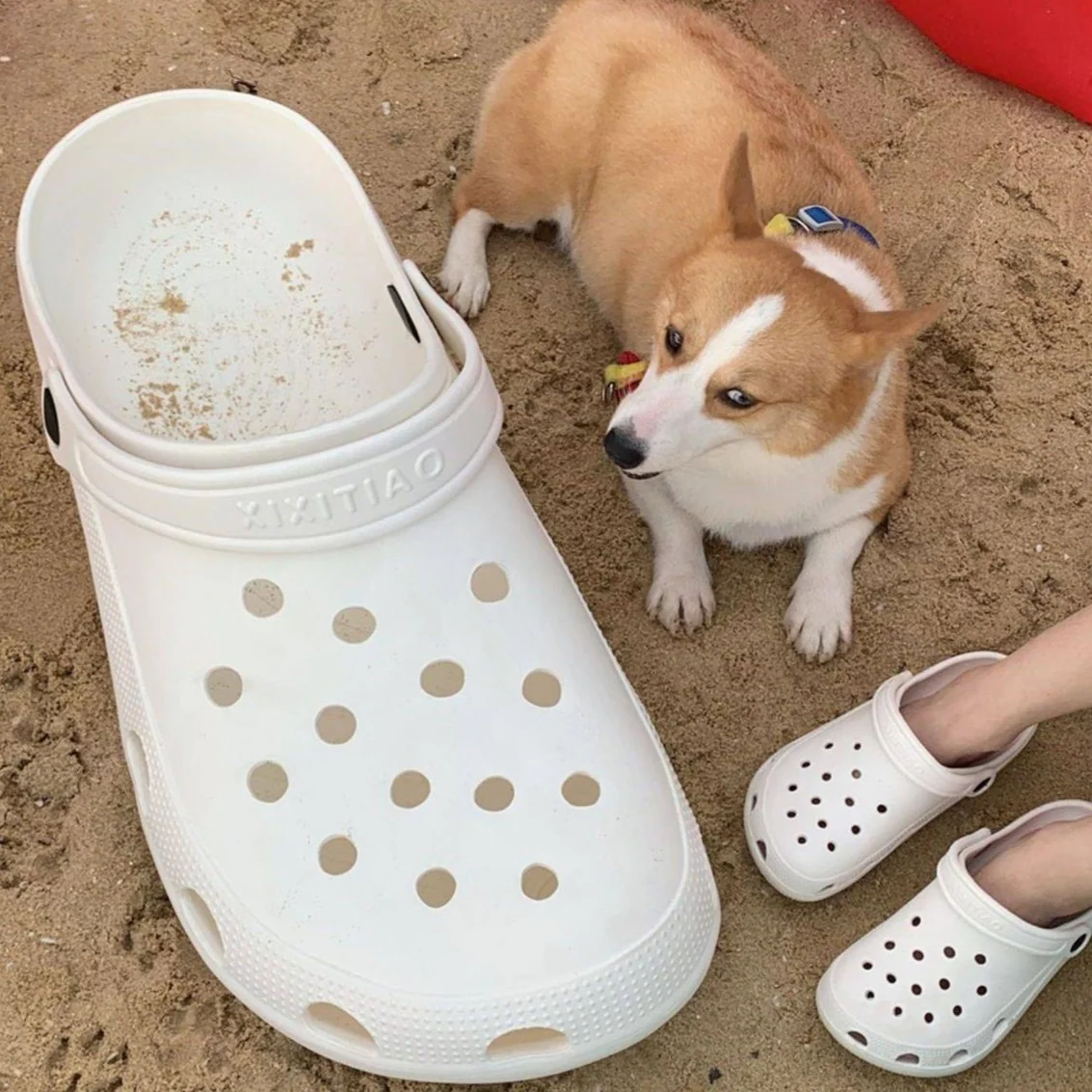 Giant Crocs - Image 10