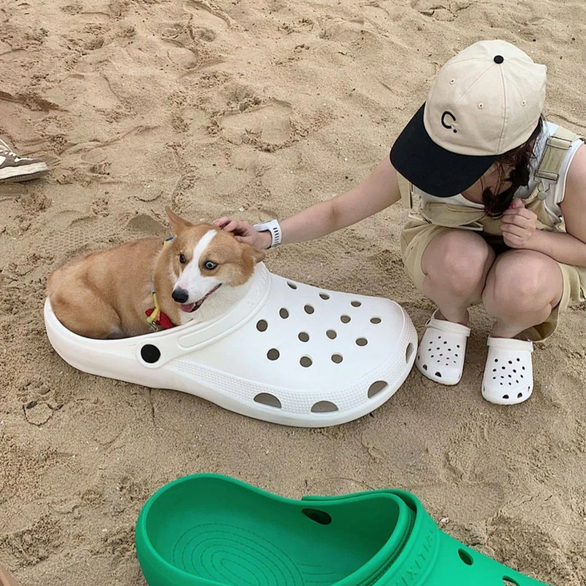 Giant Crocs - Image 13