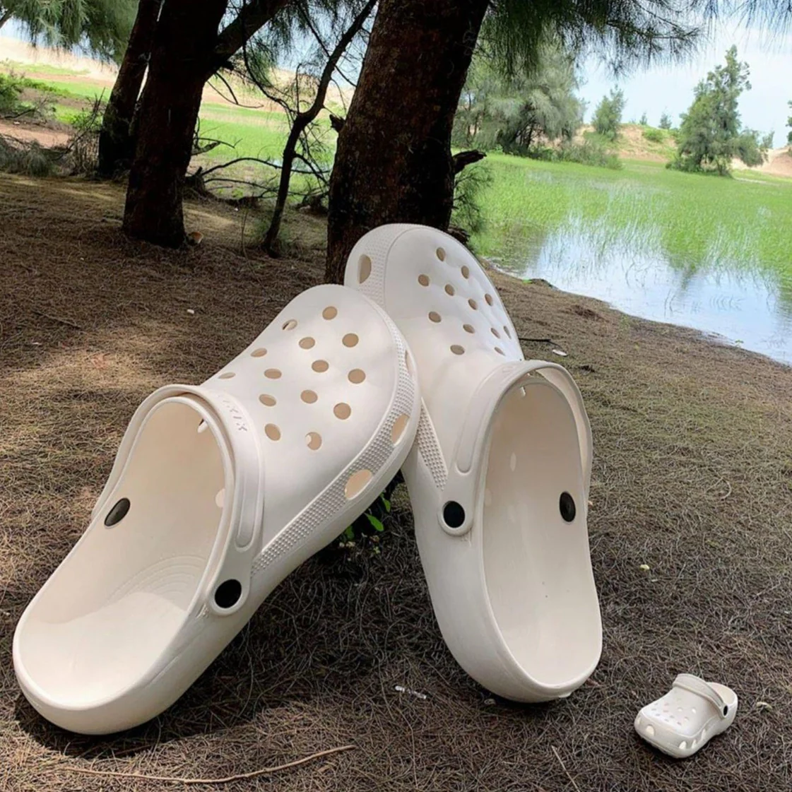 Giant Crocs - Image 16