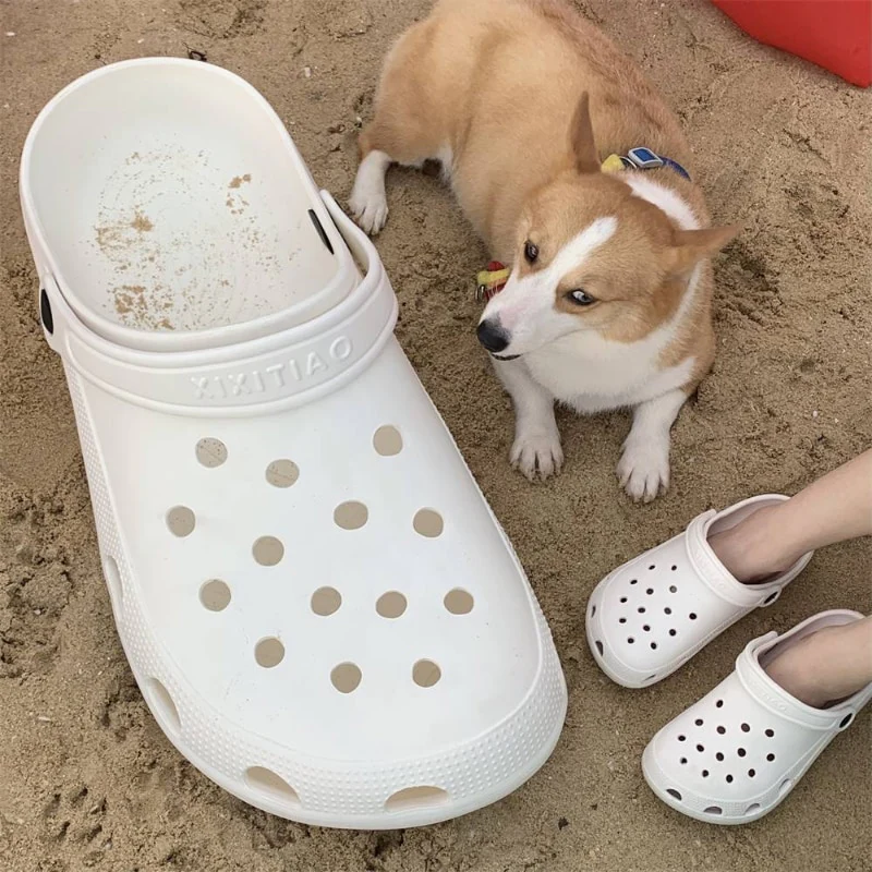 Giant Crocs - Image 4