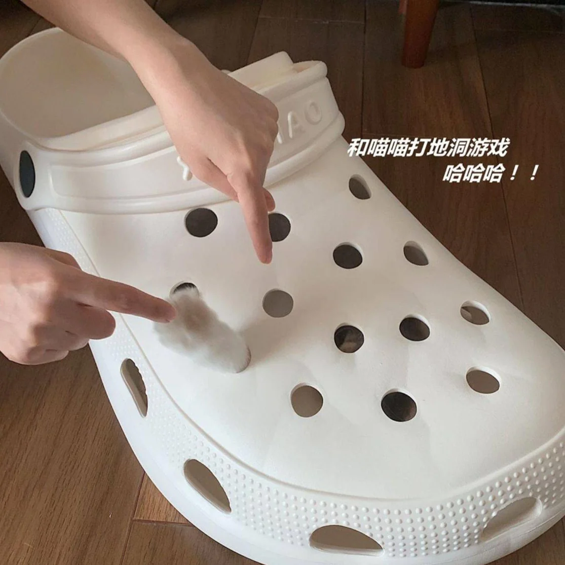 Giant Crocs - Image 9