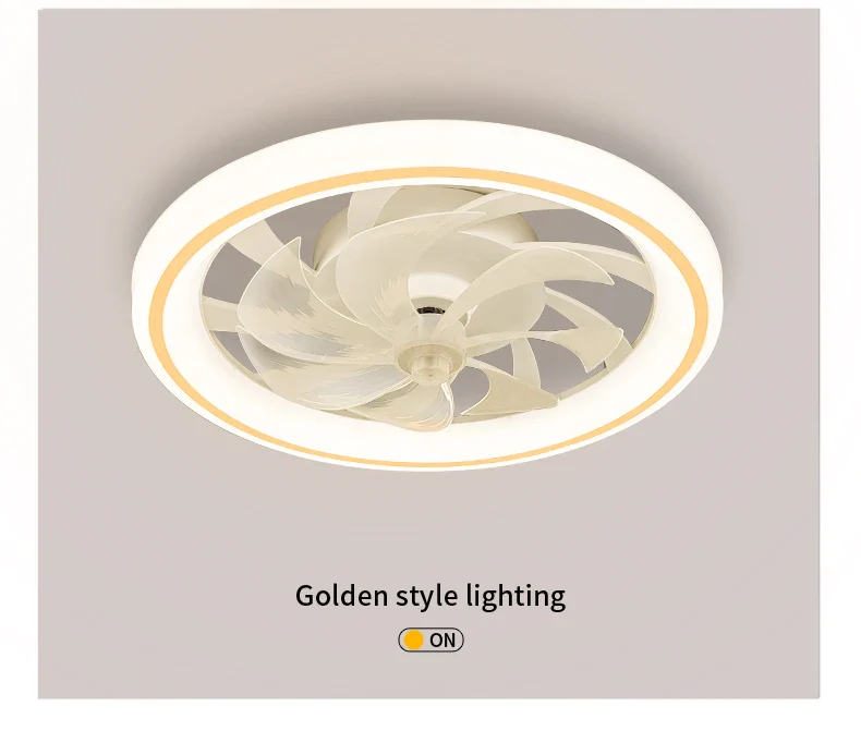 New Ceiling Fan Light - Image 23