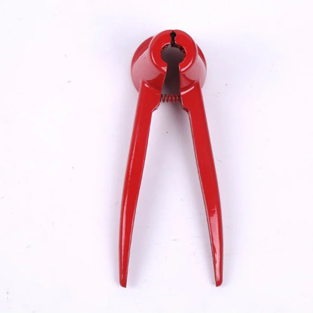 Nut Cracker - Image 14