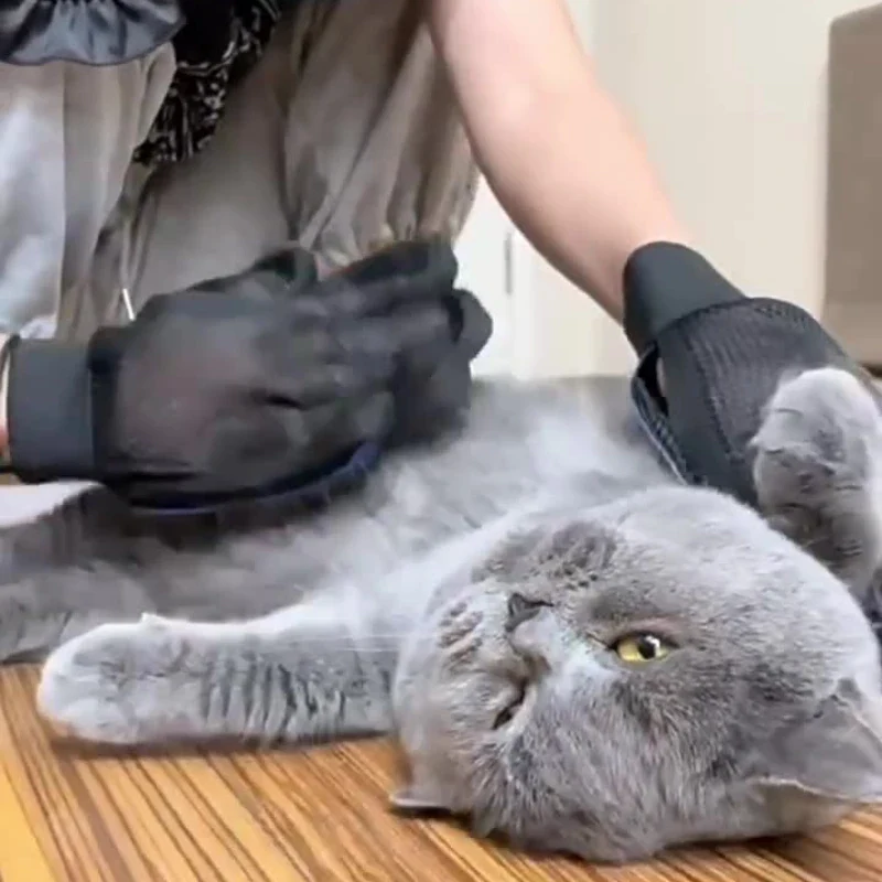 PawTidy Bath Gloves - Image 6