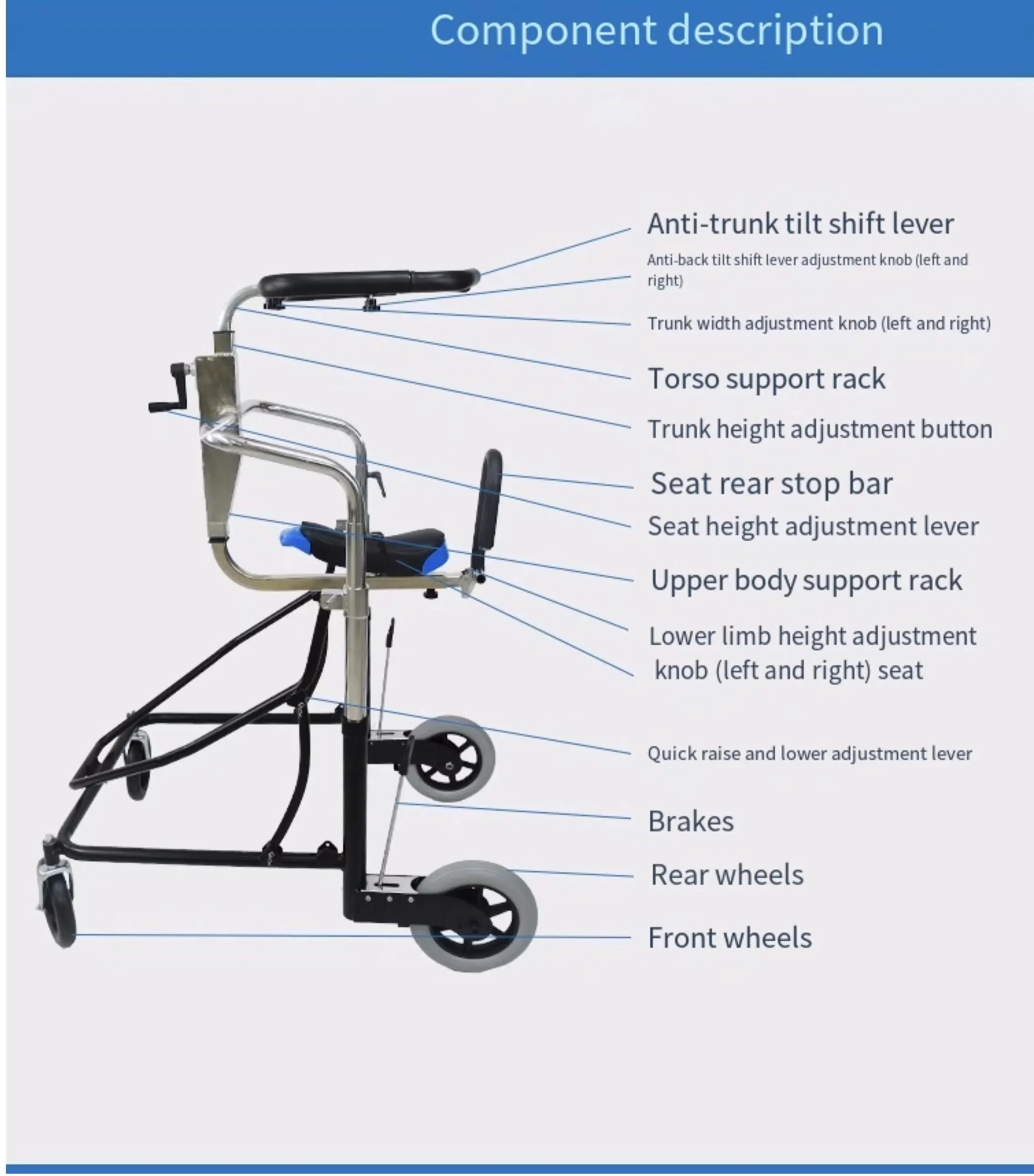 (Pre-order) Walking Assist. Contact for quoting - Image 4