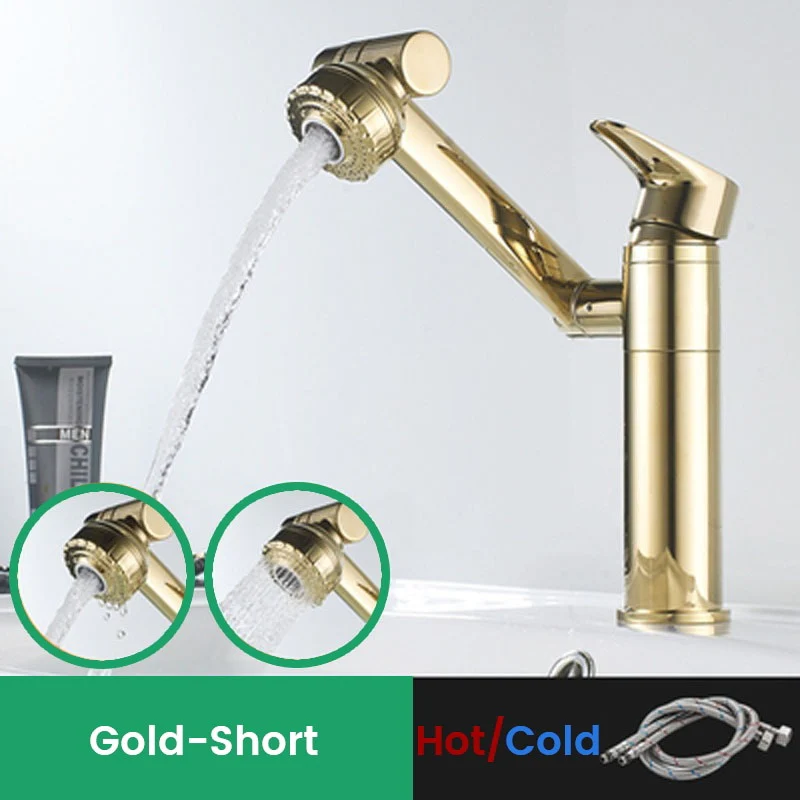 Prestige Rotating Faucet - Image 4