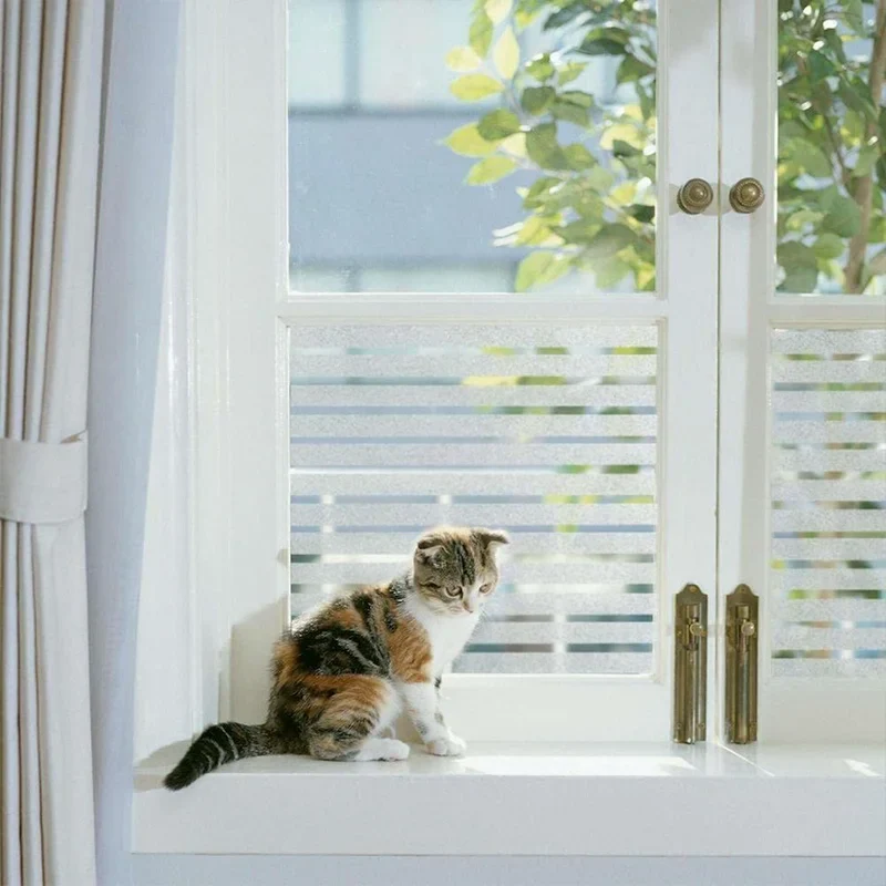 Privacy Window Film - Image 3