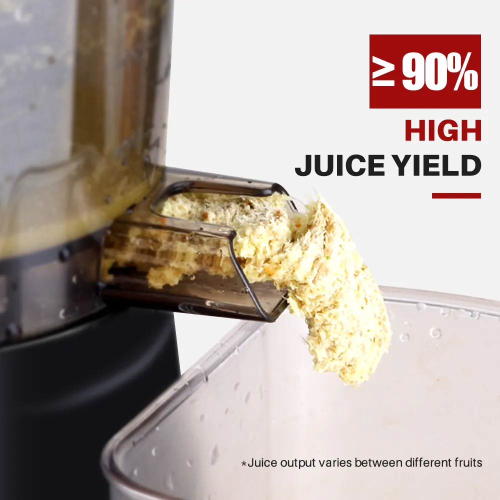 Slow Cold Press Juicer - Image 4