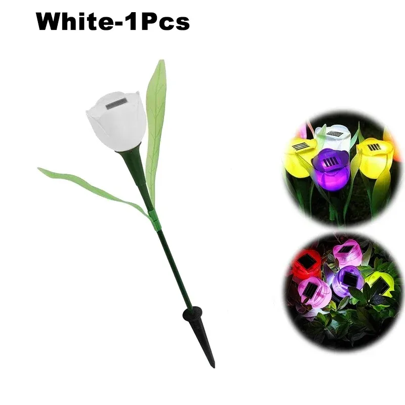 Solar Light Tulip - Image 13