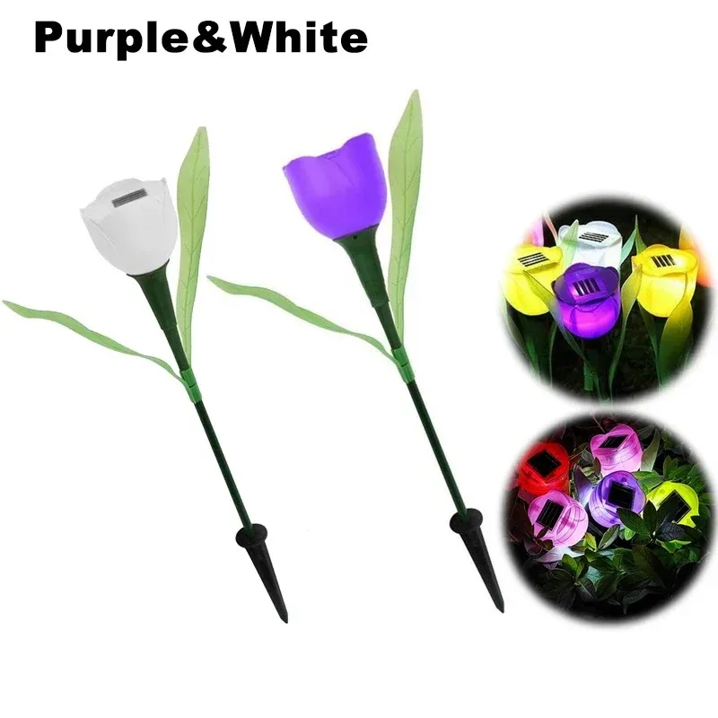 Solar Light Tulip - Image 25