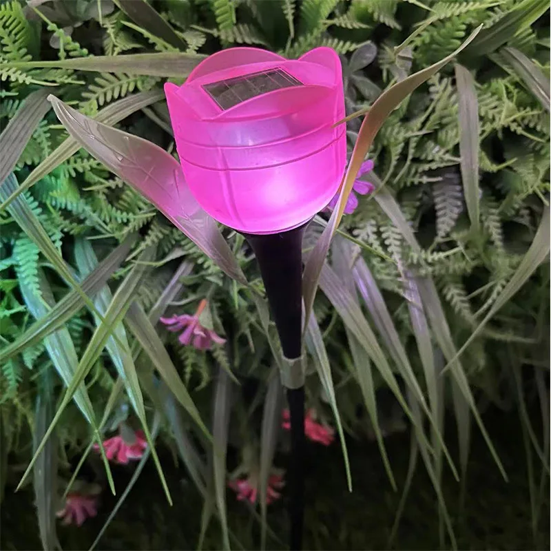 Solar Light Tulip - Image 33