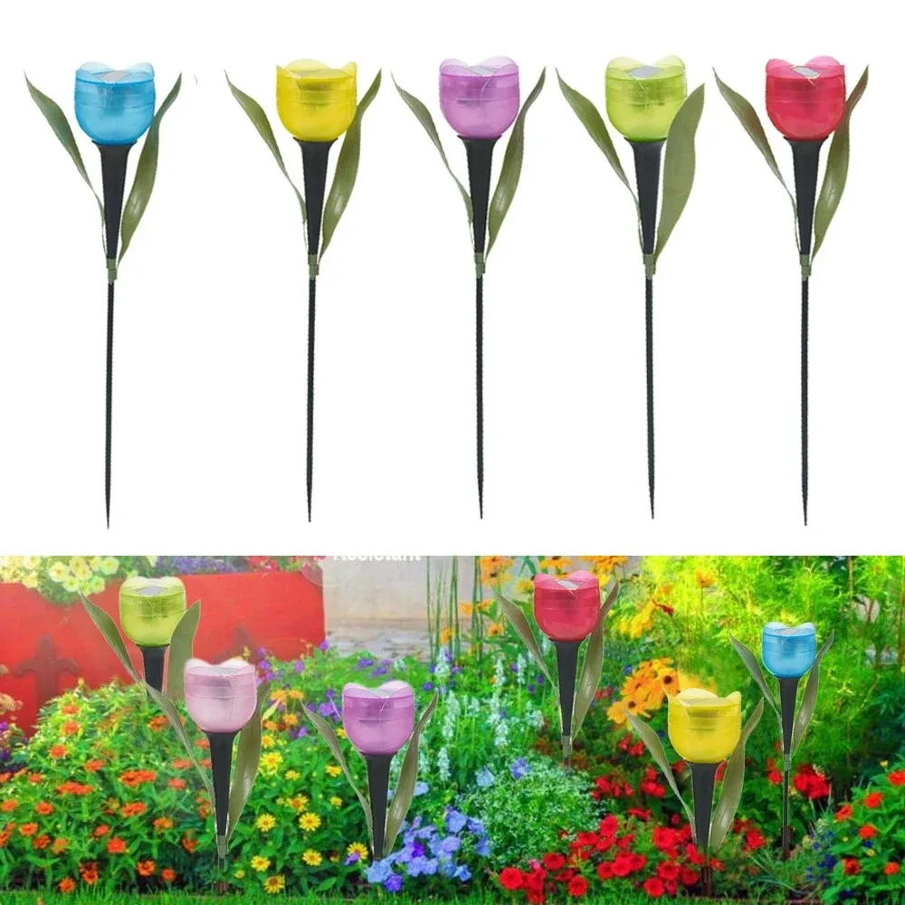 Solar Light Tulip - Image 4