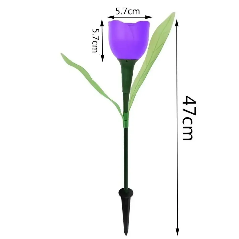 Solar Light Tulip - Image 5