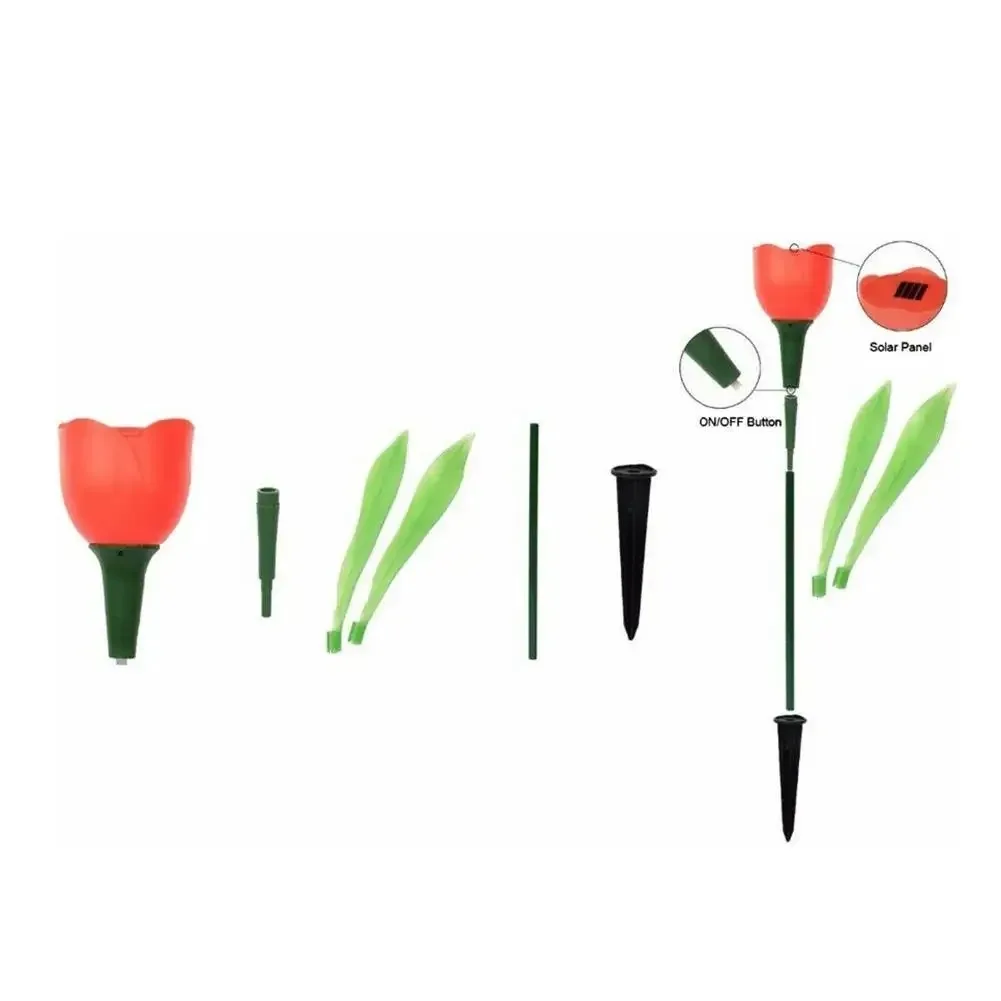 Solar Light Tulip - Image 6