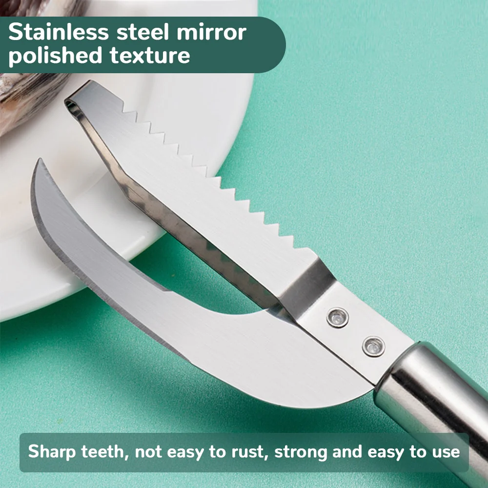Stainless Steel Fish Scale Tool - Image 11