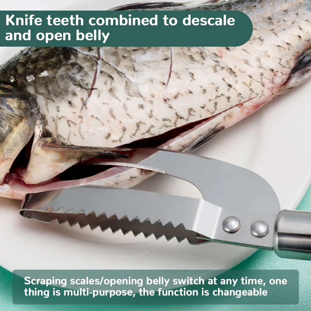 Stainless Steel Fish Scale Tool - Image 8