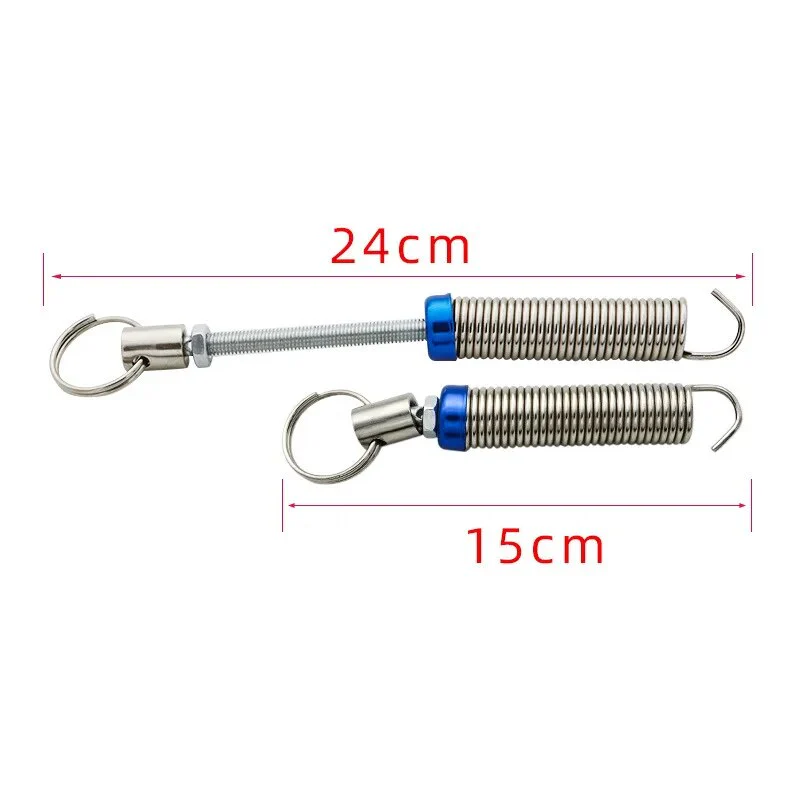 Trunk Spring - Image 5