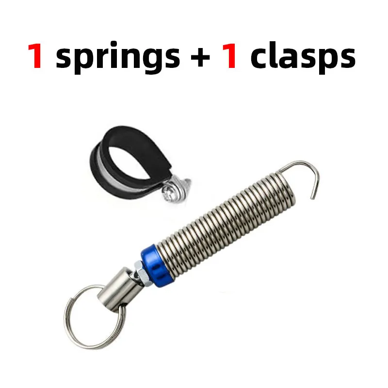 Trunk Spring - Image 7