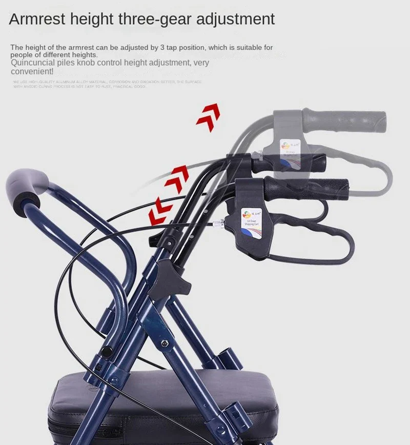 Walking Assist with Brake - Image 3